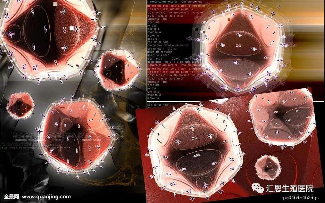  【孕医问答】预防“艾滋病、梅 